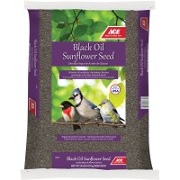 Black Oil Sunflower Songbird Black Oil Sunflower Wild Bird F
