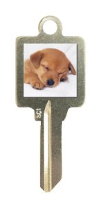 KEYBLANK SC1 PUPPY