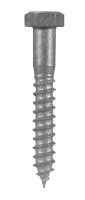 3/8 in. x 2-1/2 in. L Hex Hot Dipped Galvanized Steel La