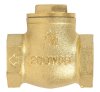 3/4 in. Dia. x 3/4 in. Dia. Brass Swing Check Valve