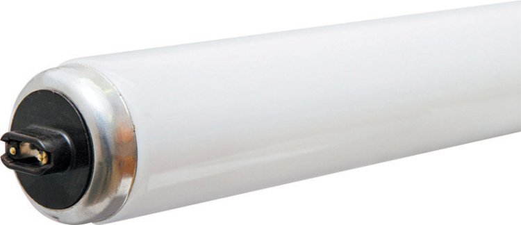 85 watts T12 72 in. L Fluorescent Bulb Cool White Li