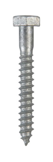 1/4 in. x 2 in. L Hex Hot Dipped Galvanized Steel Lag Sc