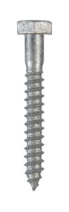 1/4 in. x 2 in. L Hex Hot Dipped Galvanized Steel Lag Sc