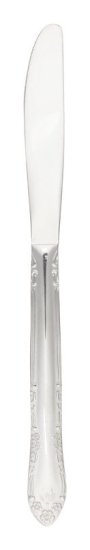 Allen Hall Silver Stainless Steel Dinner Knife