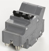 100 Amps Federal Pacific Type NA 2-Pole