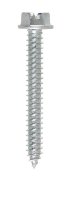 No. 14 x 2 in. L Slotted Hex Head Zinc-Plated Steel Shee