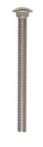 1/2 in. Dia. x 6 in. L Stainless Steel Carriage Bolt 25