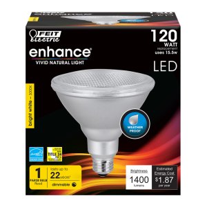 PAR38 E26 (Medium) LED Bulb Bright White 1