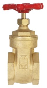 2 in. Brass Gate Valve