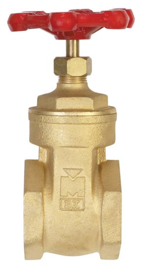 2 in. Brass Gate Valve