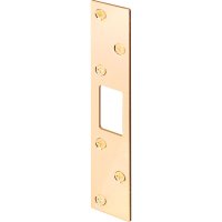 6 in. H x 1.125 in. L Brass-Plated Steel Security Str