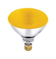 Bug Light 100 watt E26 Floodlight Incandescent Bulb