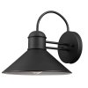 Sebastien 1-Light Black Wall Sconce