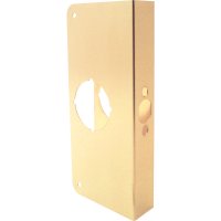 9 in. H x 4.31 in. L Brass-Plated Brass Lock and Door