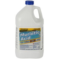 Champion No Scent Muriatic Acid 1 gal Liquid