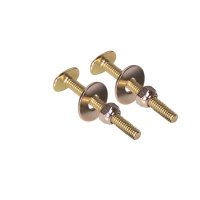 Toilet Bolt 5/16 in. x 2-1/4 in. Oval Brass Plated