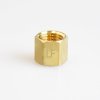 (image for)  1/4 in. FPT Brass Cap