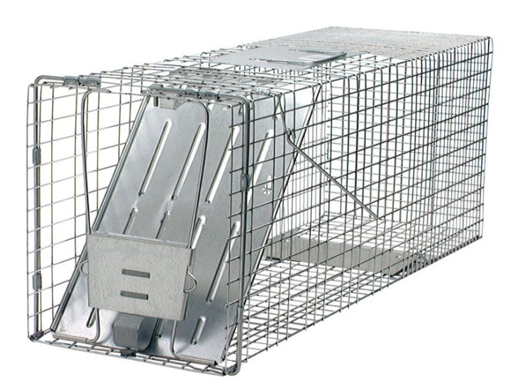 Live Catch Cage Trap For Cats and Raccoons 1 pk