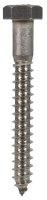 5/16 in. x 2-1/2 in. L Hex Stainless Steel Lag Screw 25