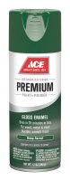 Premium Gloss Deep Forest Paint + Primer Spray Paint 12 oz.