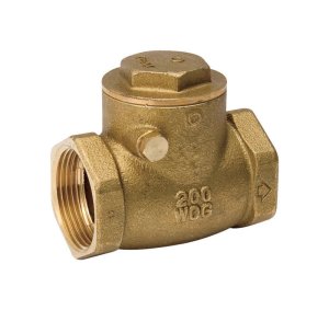 2 in. Dia. x 2 in. Dia. Brass Swing Check Valve