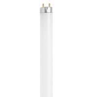 Electric 15 watt T8 18 in. L Fluorescent Bulb Cool White Li