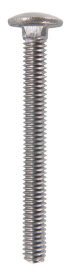 5/16 in. Dia. x 3 in. L Stainless Steel Carriage Bolt 25