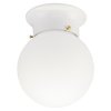 6 in. W x 6.5 in. L x 7-1/4 in. H Ceiling Light