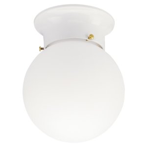 6 in. W x 6.5 in. L x 7-1/4 in. H Ceiling Light