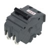 60 amps Standard 2-Pole Circuit Breaker