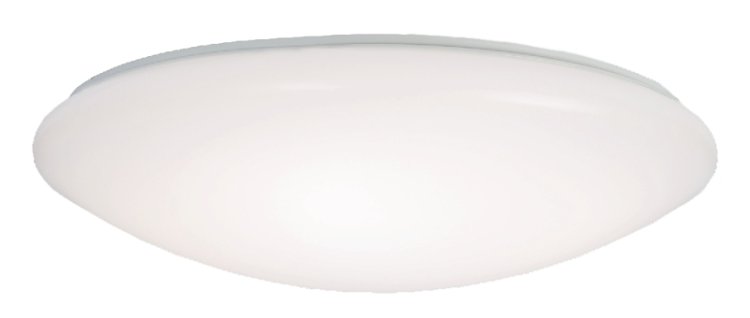 15 in. L White LED Ceiling Light Fixture