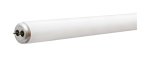 GE 34 watts T12 48 in. L Fluorescent Bulb Cool White Linear 4100
