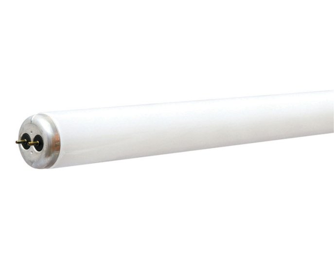 F32T8 CW Fluorescent Bulb 30-Pack