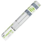 (image for) Fluorescent Light Bulbs