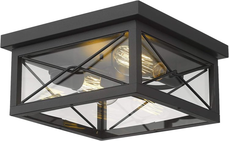 Flush Mount Ceiling 2-Light in Black Finish