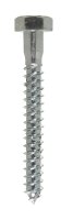 5/16 in. x 2-1/2 in. L Hex Zinc-Plated Steel Lag Screw 1