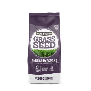 Annual Ryegrass Sun or Shade Grass Seed 10 lb