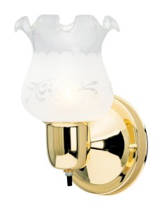 Westinghouse 1-Light Polished Brass Wall Sconce