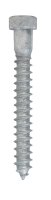 3/8 in. x 3 in. L Hex Hot Dipped Galvanized Steel Lag Sc