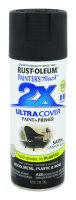 Painter's Touch 2X Ultra Cover Satin Canyon Black Spray Paint 1