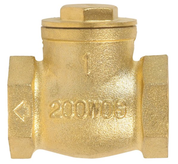 1 in. Dia. x 1 in. Dia. Brass Swing Check Valve