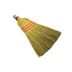 WHISK BROOM