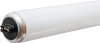 60 watt T12 48 in. L Fluorescent Bulb Cool White Lin