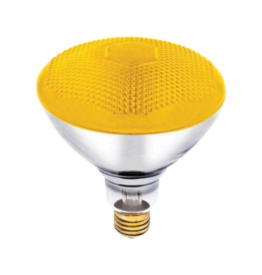 Bug Light 100 watt E26 Floodlight Incandescent Bulb