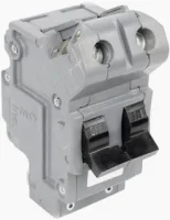 (image for) 100 Amp Thick 2 Pole Bolt-On Federal Pacific Breaker
