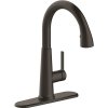 (image for) Single-Handle Pull-Down Sprayer Kitchen Faucet in Oil Rub Brz