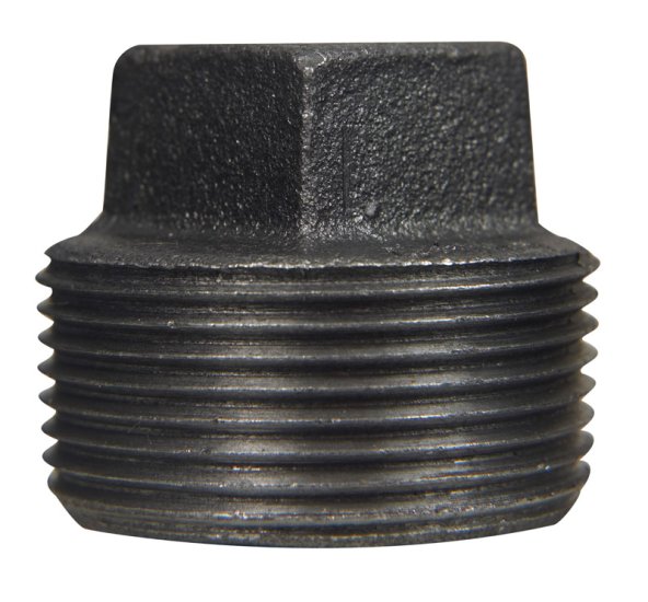 2 in. MPT Black Malleable Iron Plug