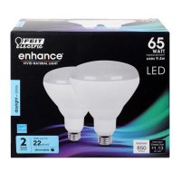 BR40 E26 (Medium) LED Bulb Daylight 65 Watt Equivalence 2 pk