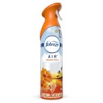 (image for) Air Freshener