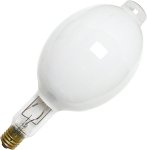 Security Light Bulbs